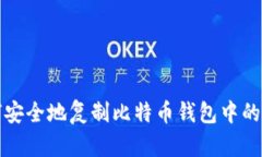 如何安全地复制比特币钱包中的公钥
