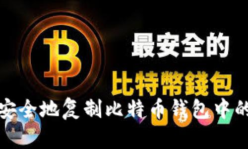如何安全地复制比特币钱包中的公钥