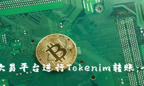 如何在欧易平台进行Tokenim转账:全面指南