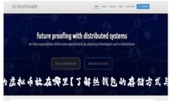 热钱包的虚拟币放在哪里？了解热钱包的存储方