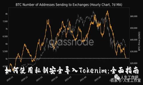 如何使用私钥安全导入Tokenim:全面指南