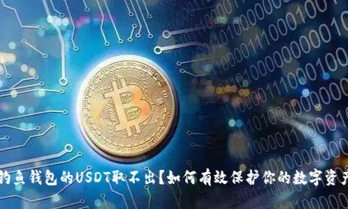 钓鱼钱包的USDT取不出?如何有效保护你的数字资产