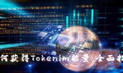 如何获得Tokenim能量：全面指南