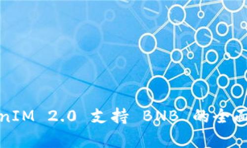 TokenIM 2.0 支持 BNB 的全面解析