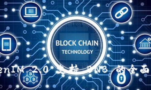 TokenIM 2.0 支持 BNB 的全面解析