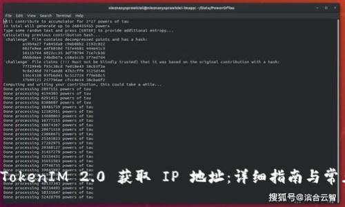 如何使用 TokenIM 2.0 获取 IP 地址:详细指南与常见问题解答