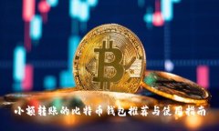 小额转账的比特币钱包推荐与使用指南