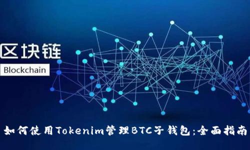如何使用Tokenim管理BTC子钱包:全面指南