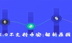 TokenIM 2.0不支持币安：解析原因及未来