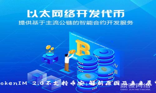 TokenIM 2.0不支持币安：解析原因及未来展望