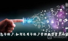 虚拟币钱包子账户：如何运用子账户管