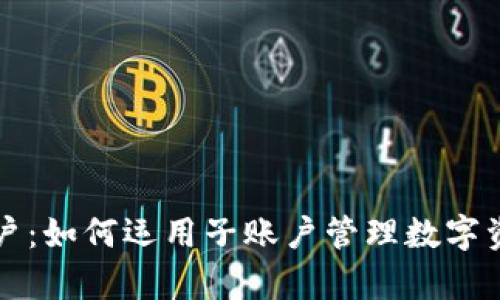 虚拟币钱包子账户：如何运用子账户管理数字资产的安全与效率