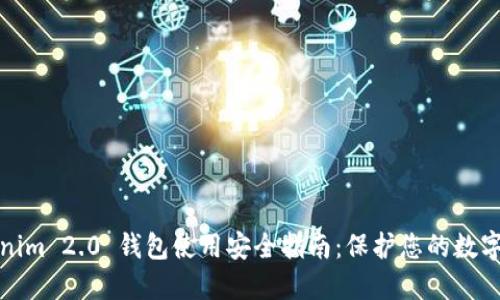Tokenim 2.0 钱包使用安全指南:保护您的数字资产