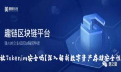 放Tokenim安全吗？深入解析数字资产存储安全性