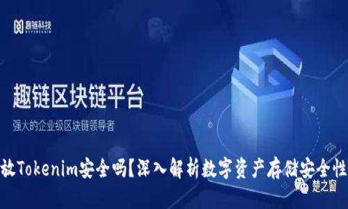 放Tokenim安全吗？深入解析数字资产存储安全性