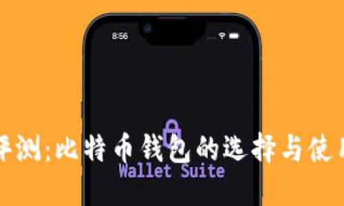全面评测：比特币钱包的选择与使用指南