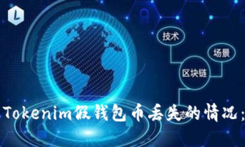 如何处理Tokenim假钱包币丢失的情况:全面指南