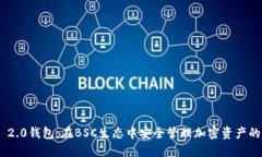 TokenIM 2.0钱包：在BSC生态中安全管理加