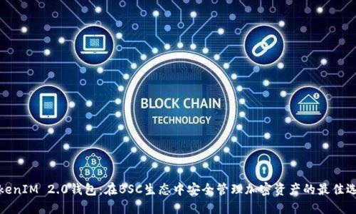 TokenIM 2.0钱包：在BSC生态中安全管理加密资产的最佳选择