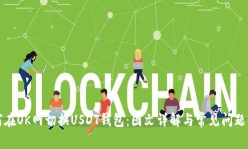 如何在OK网切换USDT钱包：图文详解与常见问题解答