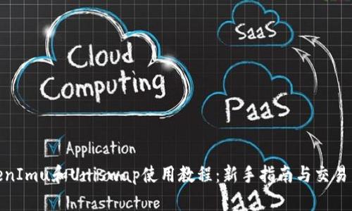 TokenImu和Uniswap使用教程：新手指南与交易策略