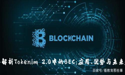 深入解析Tokenim 2.0中的BEC:应用、优势与未来趋势