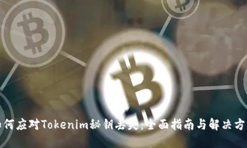 如何应对Tokenim秘钥丢失:全面指南与解决方案