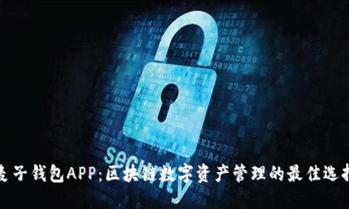 麦子钱包APP:区块链数字资产管理的最佳选择