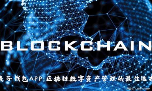 麦子钱包APP:区块链数字资产管理的最佳选择