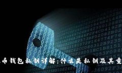 虚拟币钱包私钥详解：什么是私钥及其