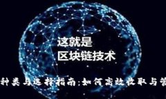 比特币钱包的种类与选择指南：如何高