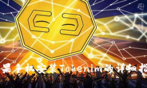 苹果手机安装Tokenim的详细指南