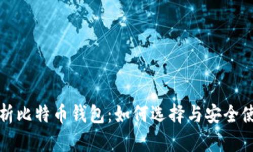 全面解析比特币钱包:如何选择与安全使用指南