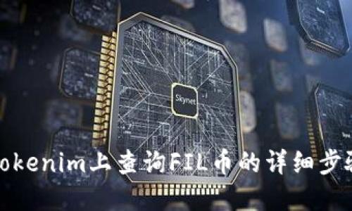 如何在Tokenim上查询FIL币的详细步骤与技巧