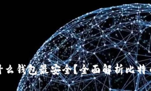 储存比特币用什么钱包最安全?全面解析比特币钱包的安全性