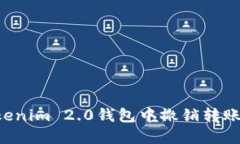 如何在Tokenim 2.0钱包中撤销转账：详细