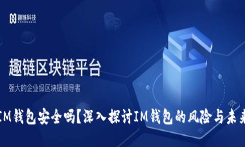 IM钱包安全吗?深入探讨IM钱包的风险与未来
