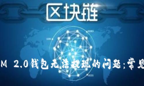 如何解决TokenIM 2.0钱包无法提现的问题:常见原因与解决方案