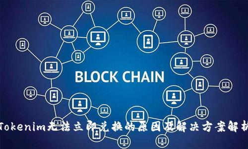 Tokenim无法立即兑换的原因及解决方案解析