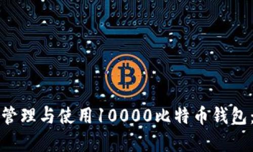 如何有效管理与使用10000比特币钱包:全面指南