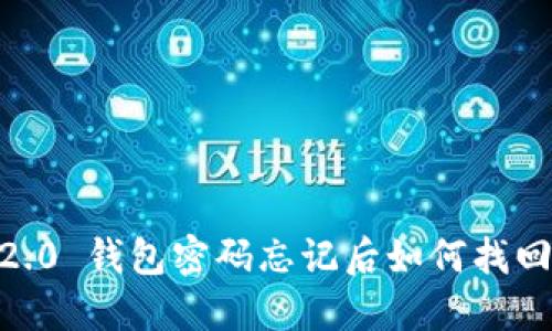 Tokenim 2.0 钱包密码忘记后如何找回？详细指南