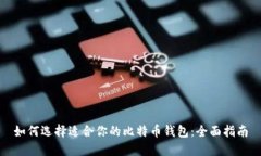 如何选择适合你的比特币钱包：全面指