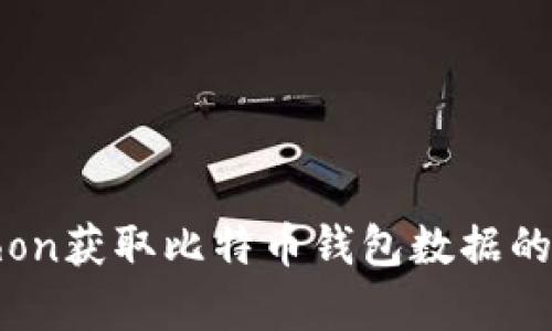 使用Python获取比特币钱包数据的完整指南