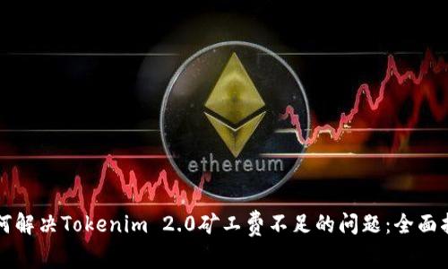 如何解决Tokenim 2.0矿工费不足的问题:全面指南