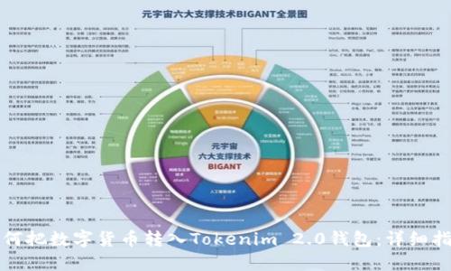 如何把数字货币转入Tokenim 2.0钱包：详细指南