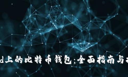 iPad上的比特币钱包：全面指南与推荐