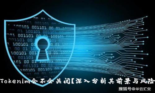 Tokenim会不会关闭？深入分析其前景与风险