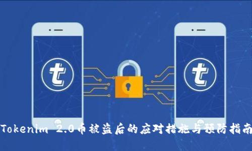 Tokenim 2.0币被盗后的应对措施与预防指南