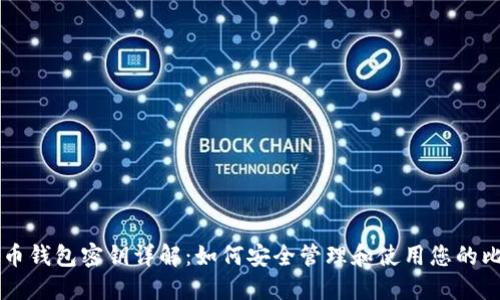 比特币钱包密钥详解:如何安全管理和使用您的比特币