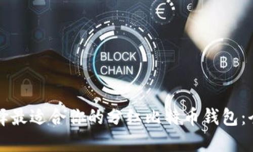 如何选择最适合你的分红比特币钱包:全面指南